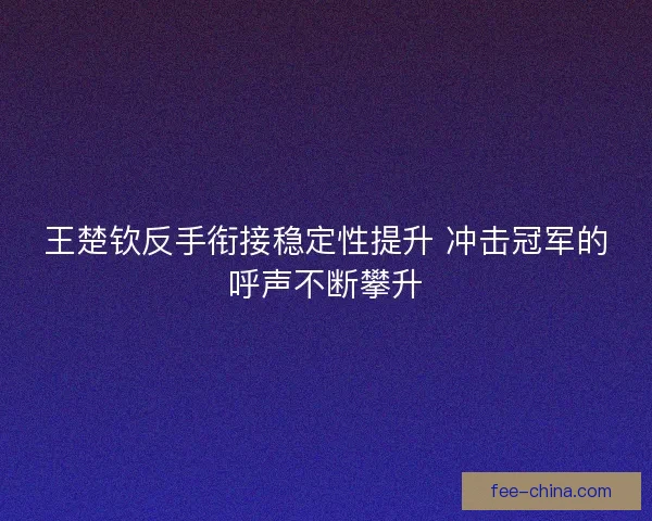 王楚钦反手衔接稳定性提升 冲击冠军的呼声不断攀升