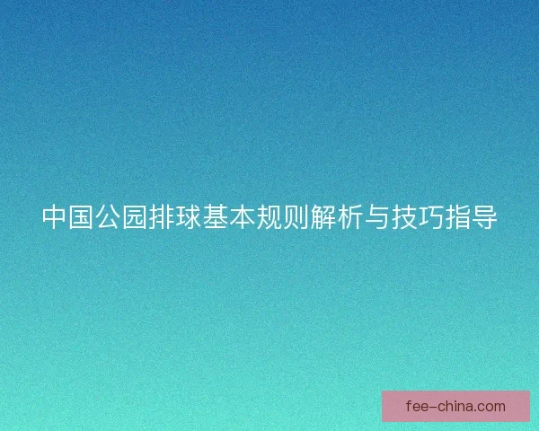 中国公园排球基本规则解析与技巧指导